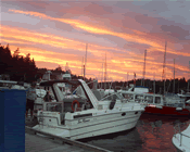 Seameadows Charter Boat catching fish